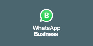 whatsapp business nedir